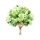 樹