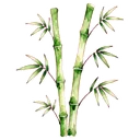 竹子