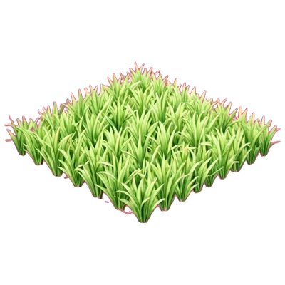 田