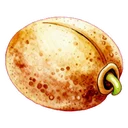 種子