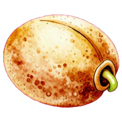 種子