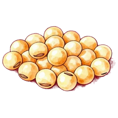 豆子