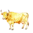 牛