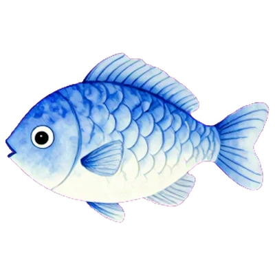 魚
