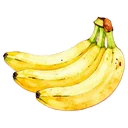 香蕉