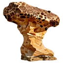 野柳