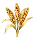 小米
