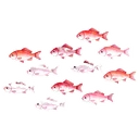 魚群