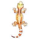 壁虎