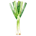 蔥