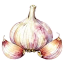 蒜