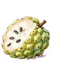 釋迦