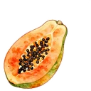 木瓜