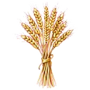 小麥