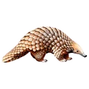 穿山甲