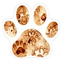 動物