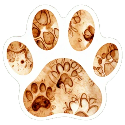 動物