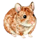 老鼠