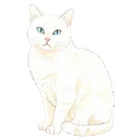 貓