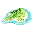 小琉球