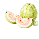 芭樂